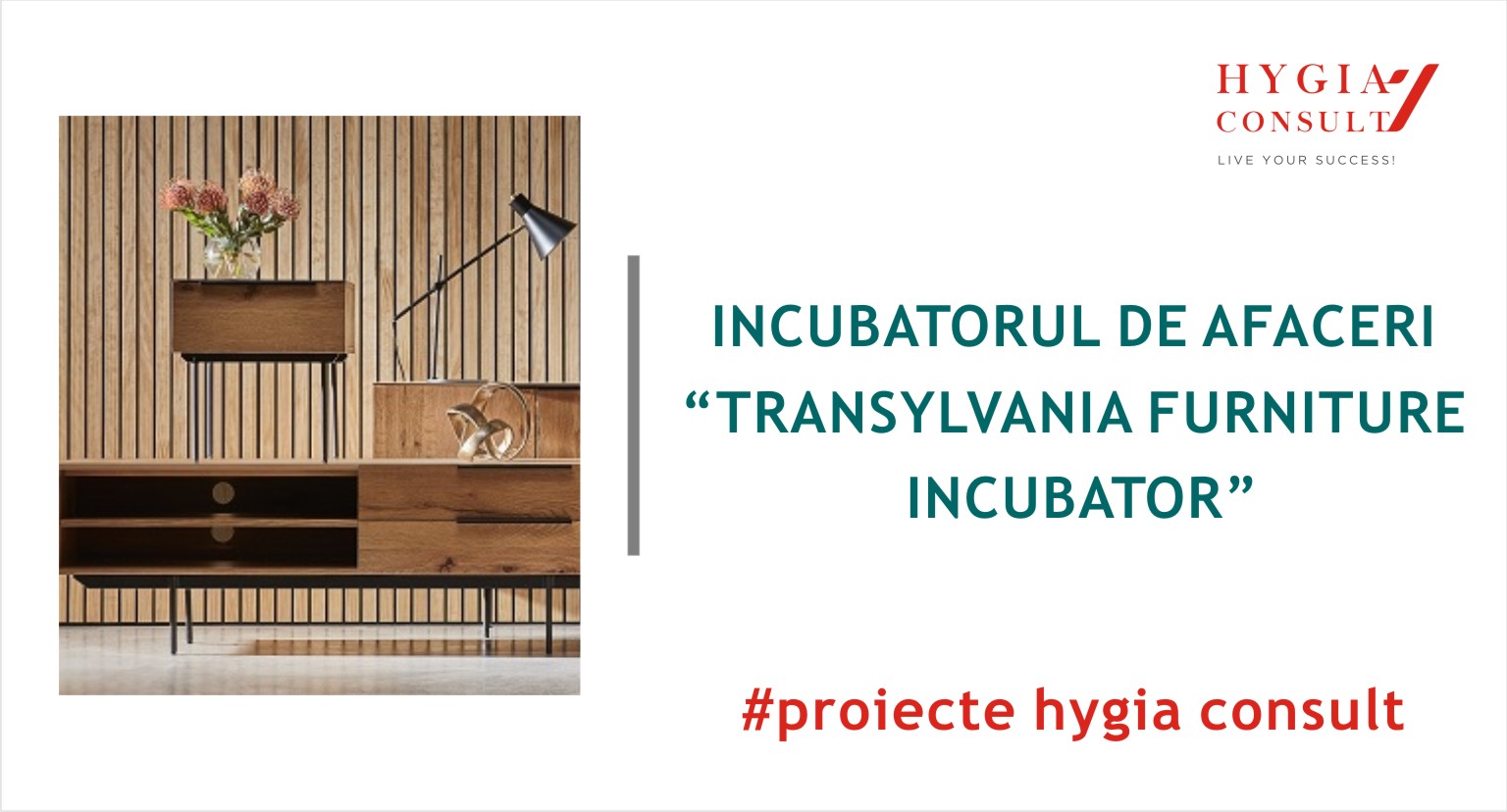 Incubatorul de afaceri Transylvania Furniture Incubator